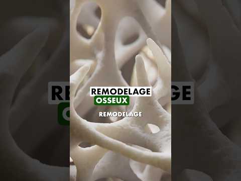 🦴 En savoir plus sur l’#osteoporose ! #menopause #fracture #os #docteur #medecine #rhumato