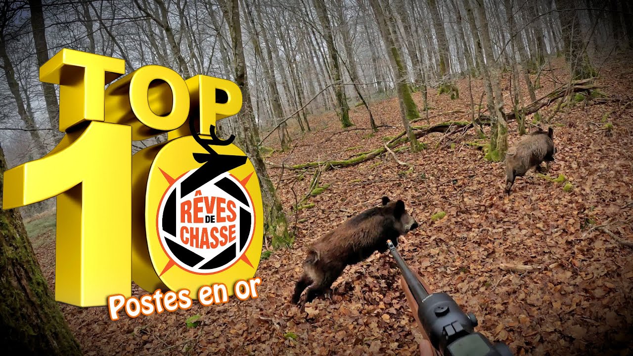 Top 10 Rêves de Chasse #35 | Gagnez le Poste en Or en Battue en Septembre 2025 🦌