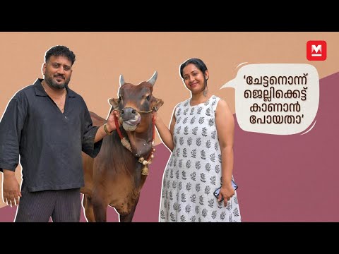 'ഇവൻ ആദ്യം എന്റെ പെറ്റ്സിനെ സെറ്റാക്കി' | Sowbhagya Venkitesh & Arjun Somasekhar