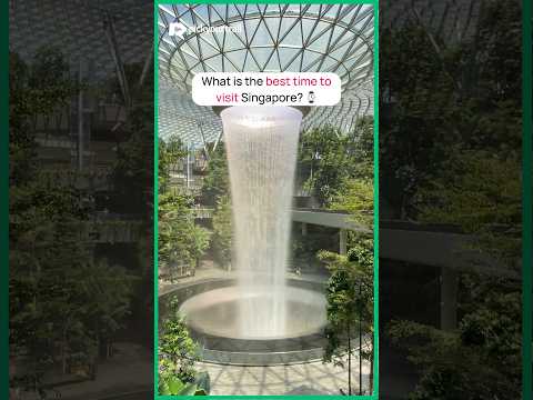 ⌚ What is the best time to visit Singapore? 🇮🇩 | Pickyourtrail 💚 #travel #shorts