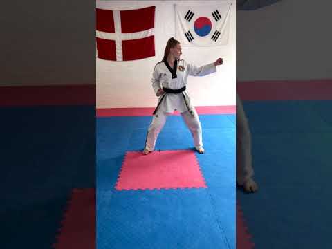 Eolgul bakatchigi - Afhandling 4. DAN