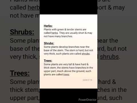 Class-6. Science # Herbs, shrubs & Trees.