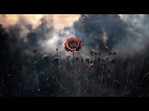 02 - Dizzy DROS - Contrat Diction (TPS)