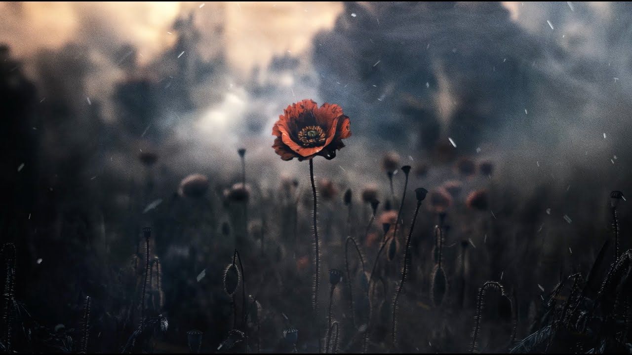 02 Dizzy DROS Unveils 'Contrat Diction' from New EP 'TPS' 🎶