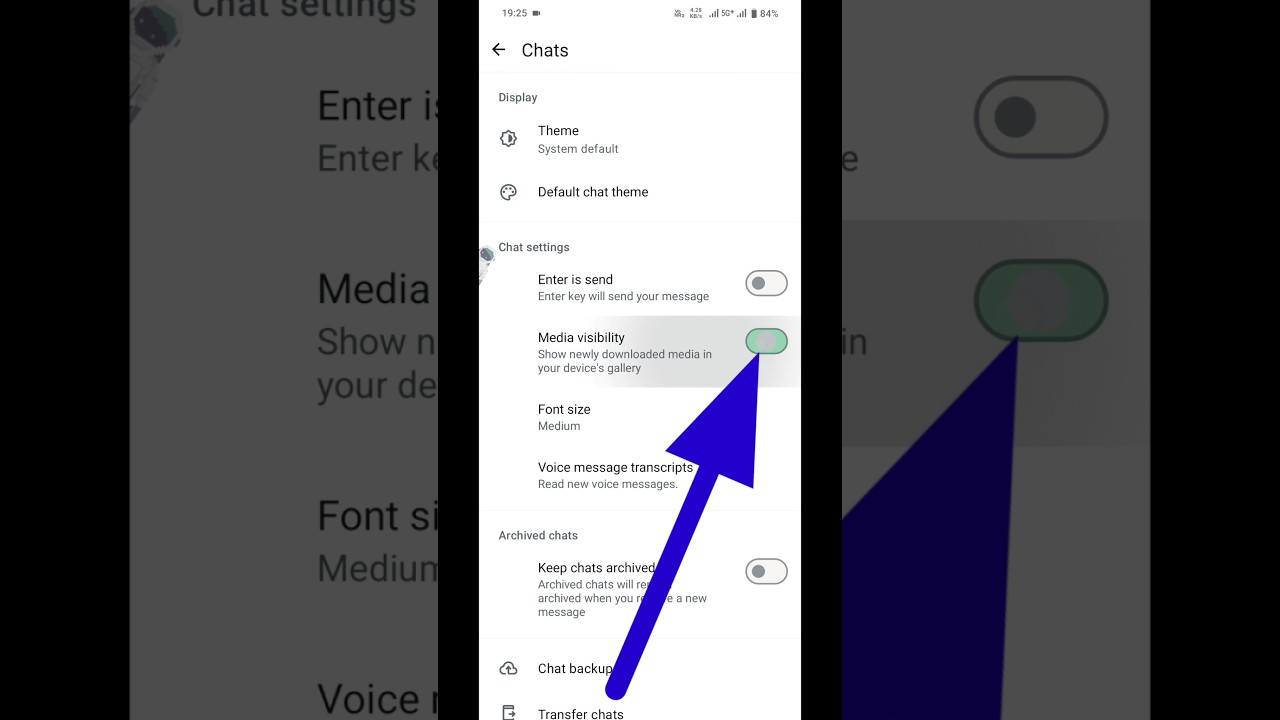 WhatsApp Photos & Videos Not Showing in Gallery 📱