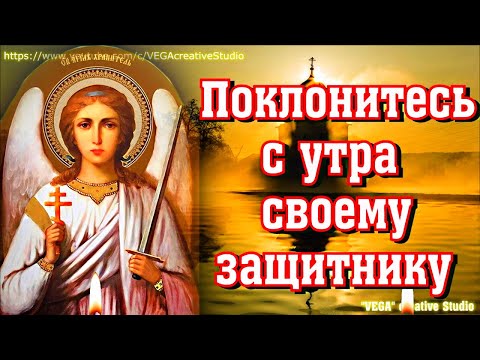 "VEGA" creative Studio