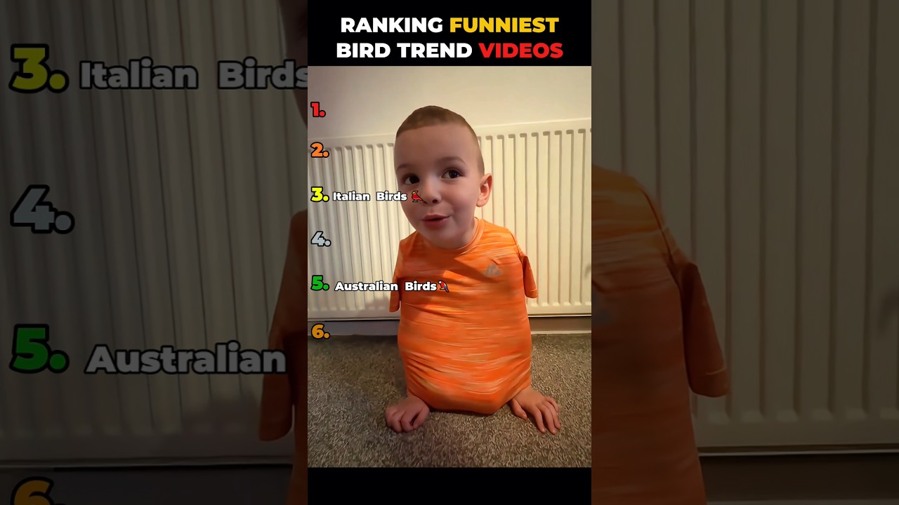 Top Bird Trend Videos of 2023 🐦