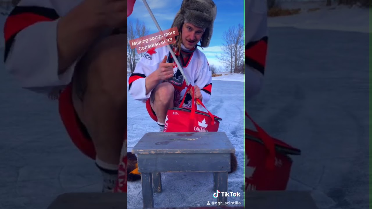 Hot In Here by Nelly Canadian Remix - (TikTok by @ogr_scintilla)