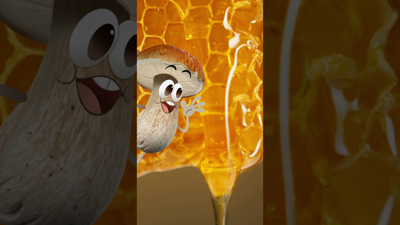 Can Honey Last Forever? 🐝