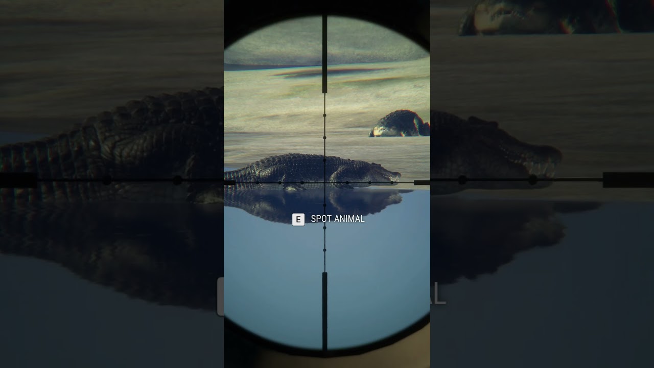 8 Mythical Saltwater Crocodiles Hunt | The Hunter 🌊