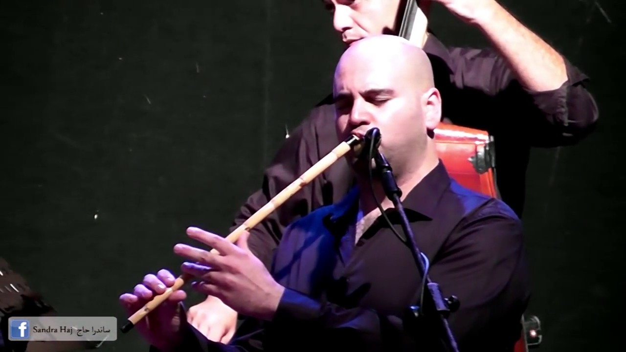 ساندرا حاج: خبيرة مالية ومالية 🏦