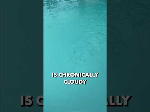 BACKWASH Your Filter NOW and Say Goodbye to Clogged Pools!