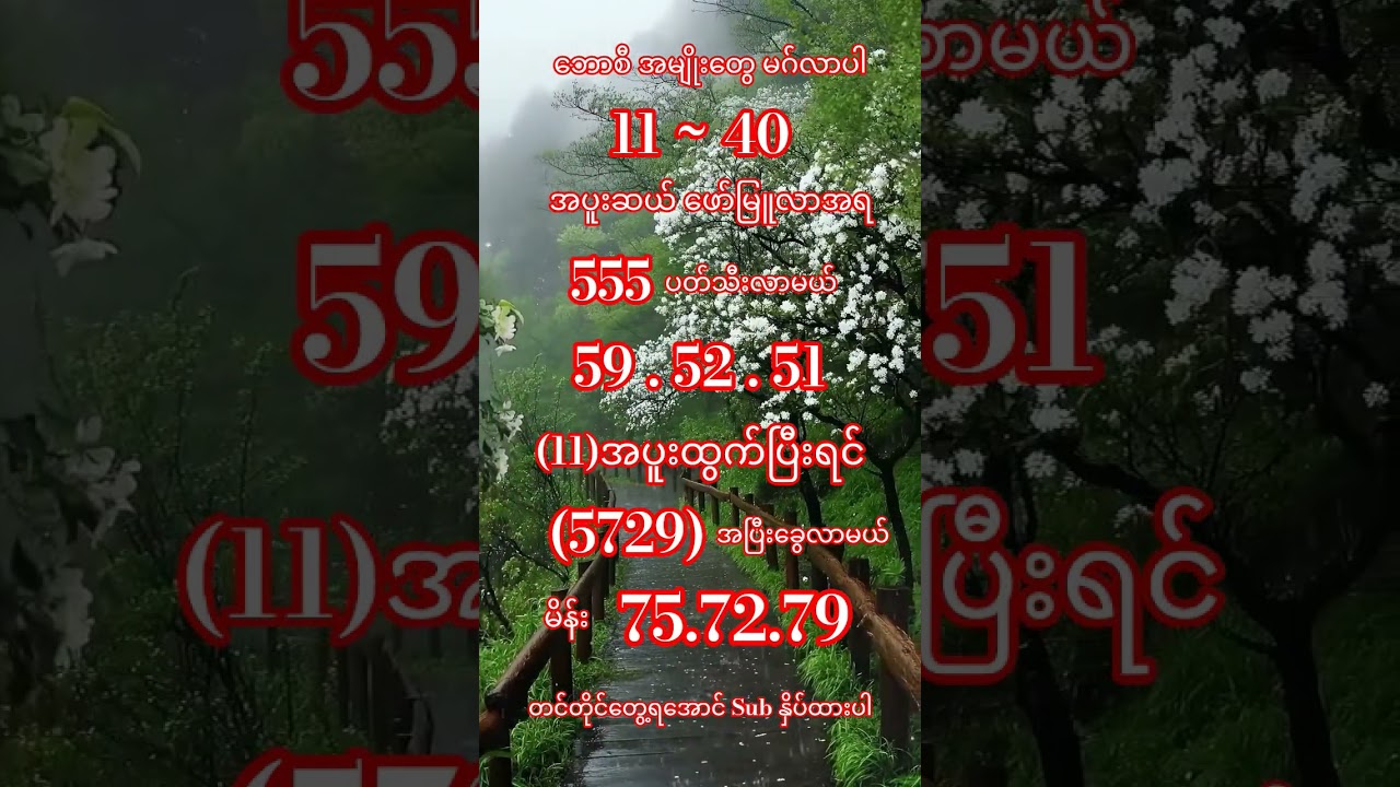 Dynamic 2D Shots Short Video | Subscribe for More