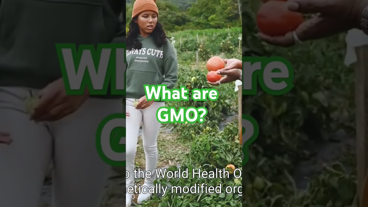What Are GMOs? A Quick Guide 🌱