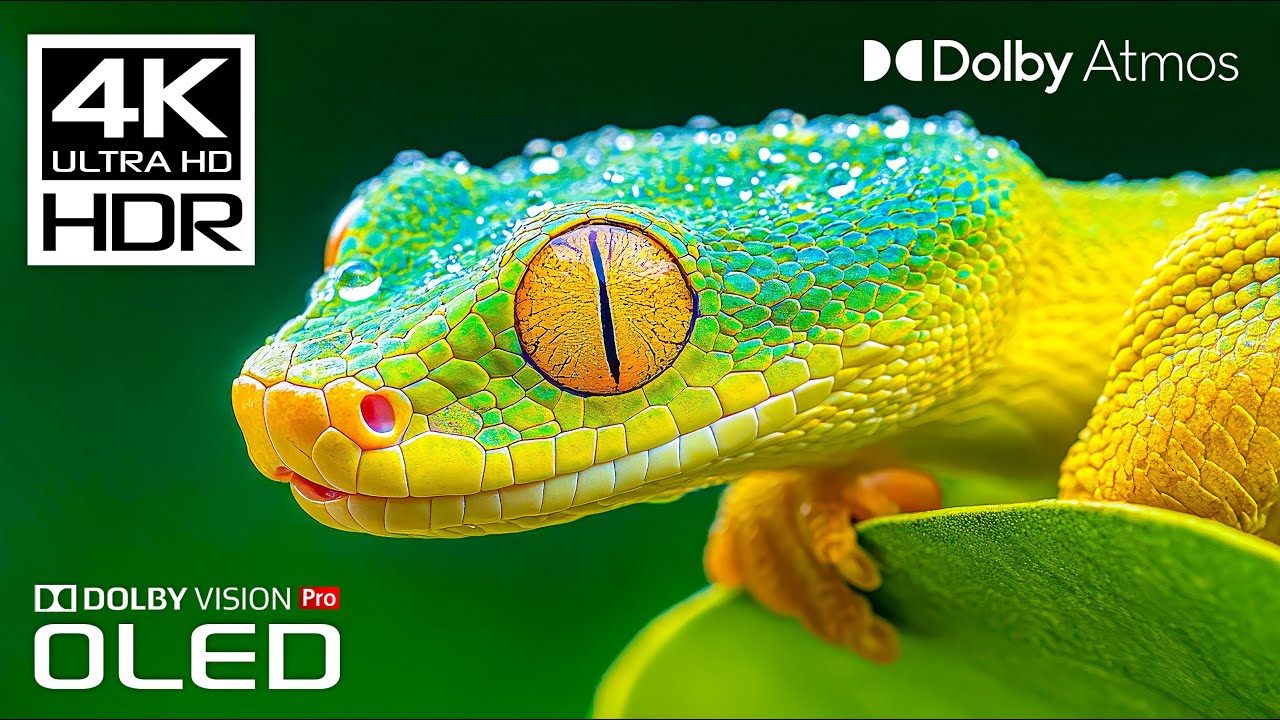 Best of Dolby Atmos: 4K HDR 60FPS Video & Music 🎶