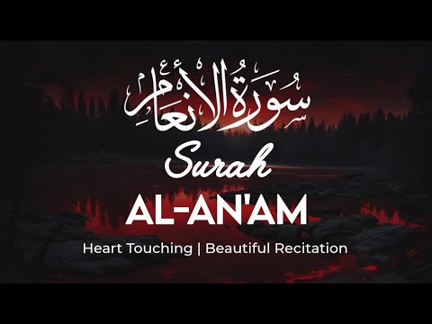 Surah Al-An'am Recitation by Sheikh Mohammed Ayub 🕋