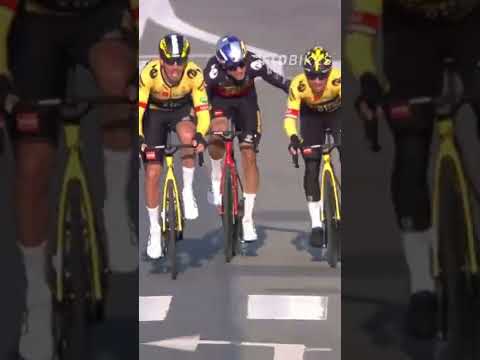 Paris-Nice is the Jumbo-Visma show 🙌 #shorts