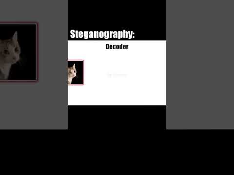 What is STEGANOGRAPHY 🔐 #hack #hacking #hacker #encode #decode #steganography
