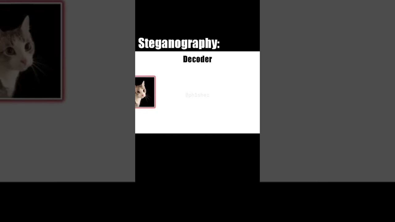 Steganography Explained: Hidden Messages & Secret Encoding π
