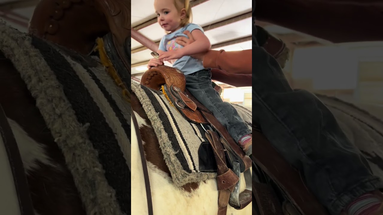 Adorable Baby Horses & Pigs π΄π·