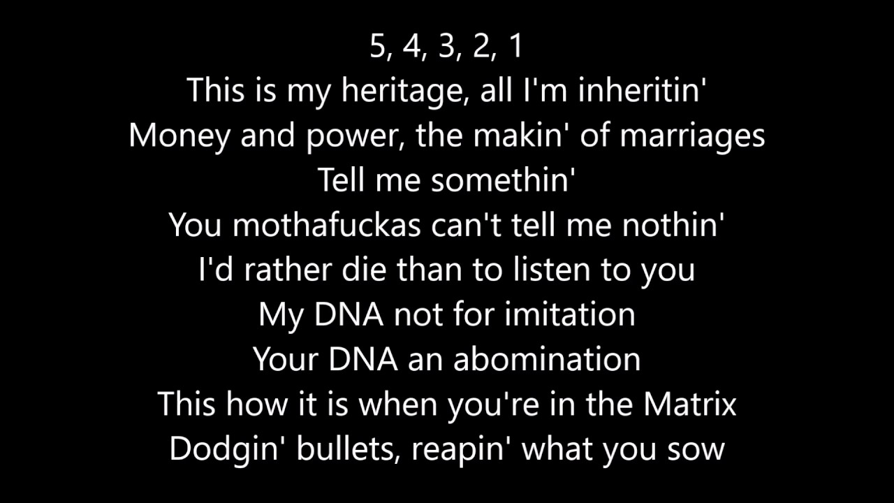 Kendrick Lamar - DNA 🎶 Lyrics & Meaning Explained