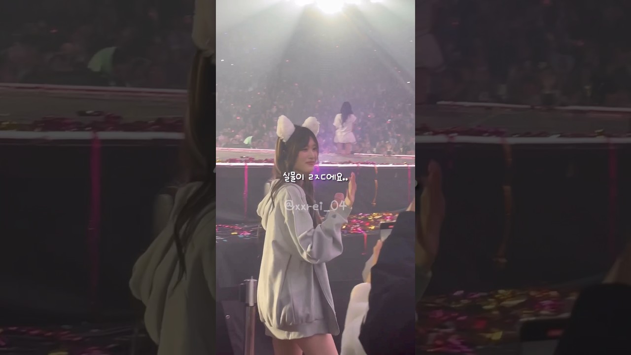 아이브 팬콘서트 브이로그 😻 즐거운 시간!