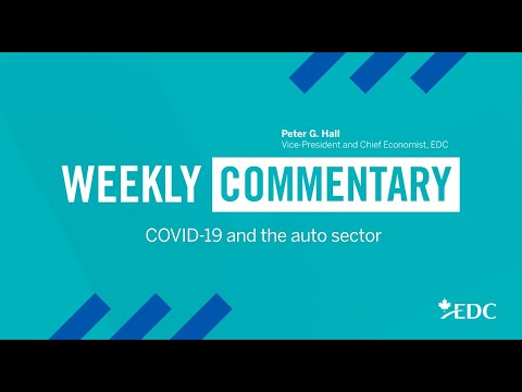 COVID-19 and the auto sector