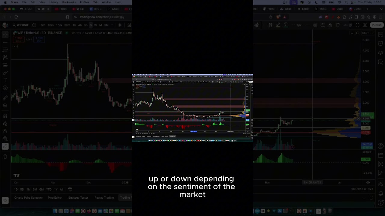 Discover WIF: The Meme Coin Making Waves on Solana ๐