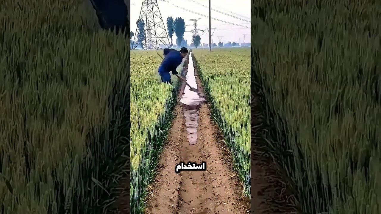 ابتكار صيني لري الأرض بذكاء 💧