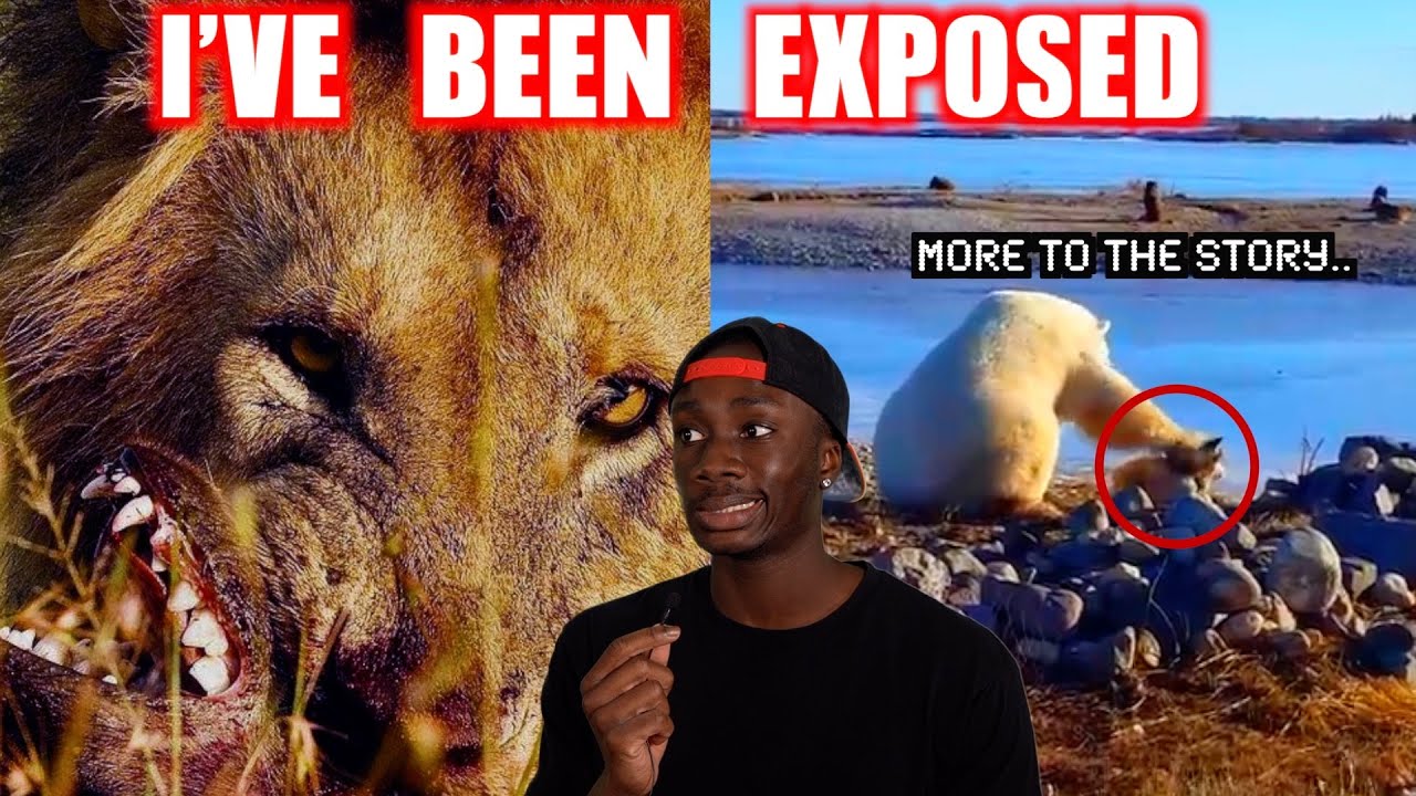 Animal Facts I Was Wrong About 🐾