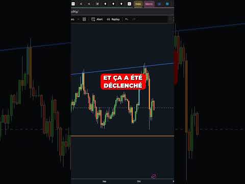 CRYPTO : LE NIVEAU de TOUS les DANGERS pour BITCOIN ! 🚨 #crypto #bitcoin #btc #cryptomonnaie