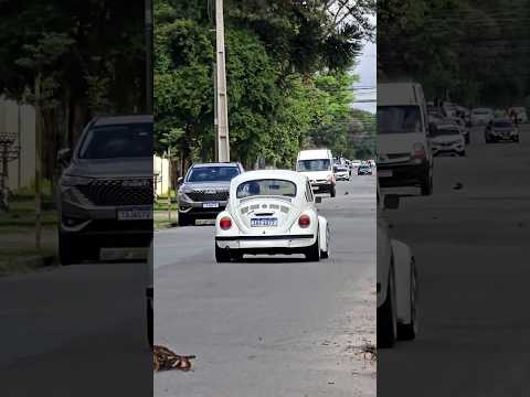 FUSCA 1993 BRANCO | 1993 BEETLE WHITE