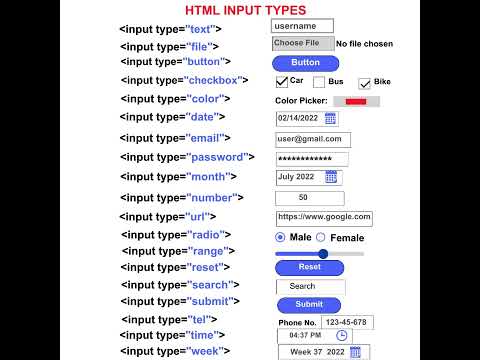 HTML Input Tags List Tutorial For Beginners (Web Development)