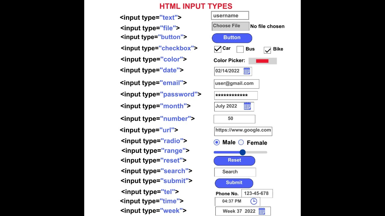 Ultimate HTML Input Tags List & Tutorial for Beginners 🚀