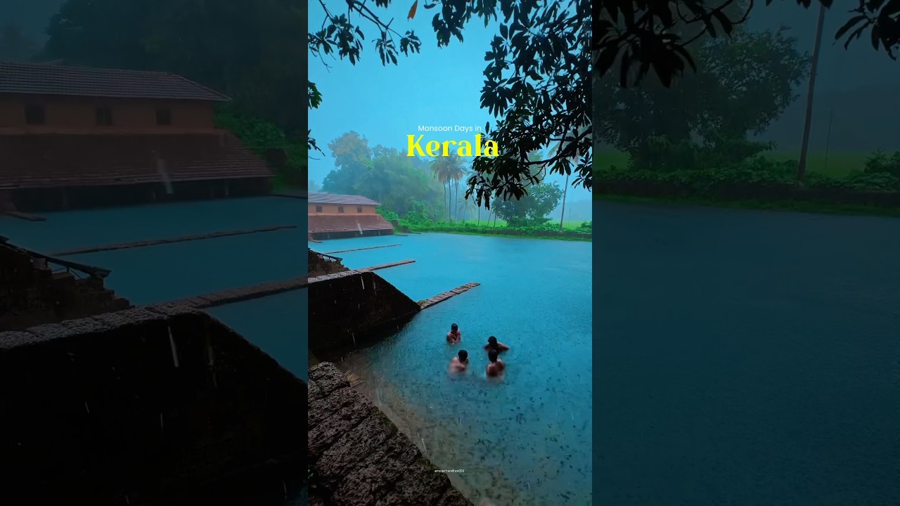 Serene Pond in Kerala During Monsoon Season