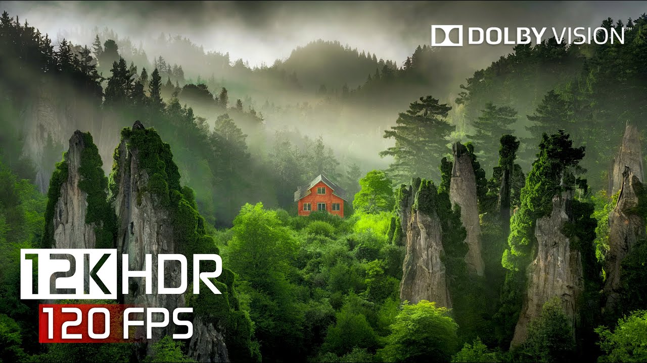 Hidden Wonders in 12K HDR Dolby Vision 🌍