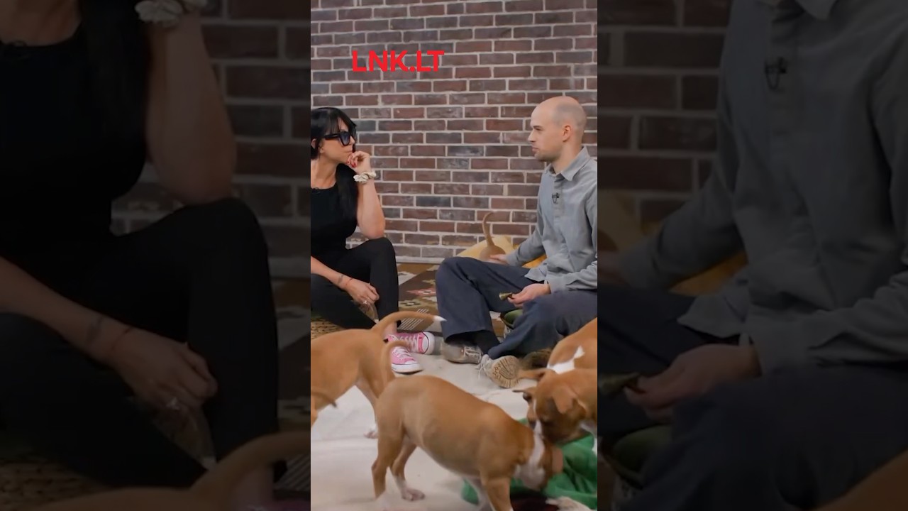 Naujas epizodas: „Pats mieliausias pokalbis“ dabar portale LNK.LT 🐶