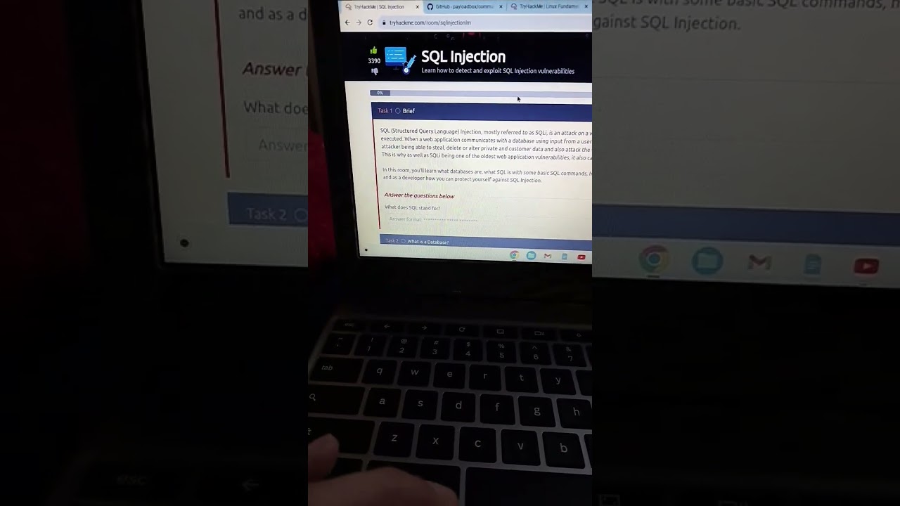 TryHackMe SQL Injection Challenge 💉