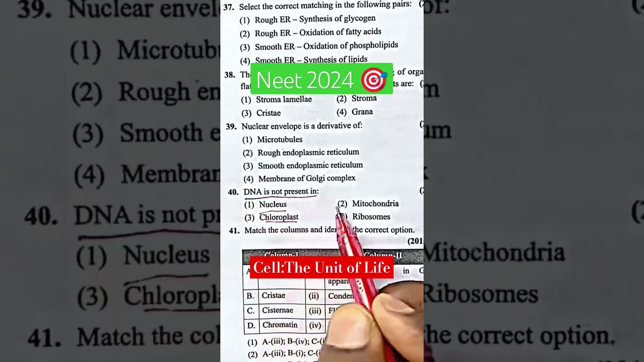 NEET 2024 Bio Practice with Past Questions 📝