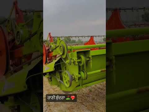 Punjabi song #campaign #shortvideo