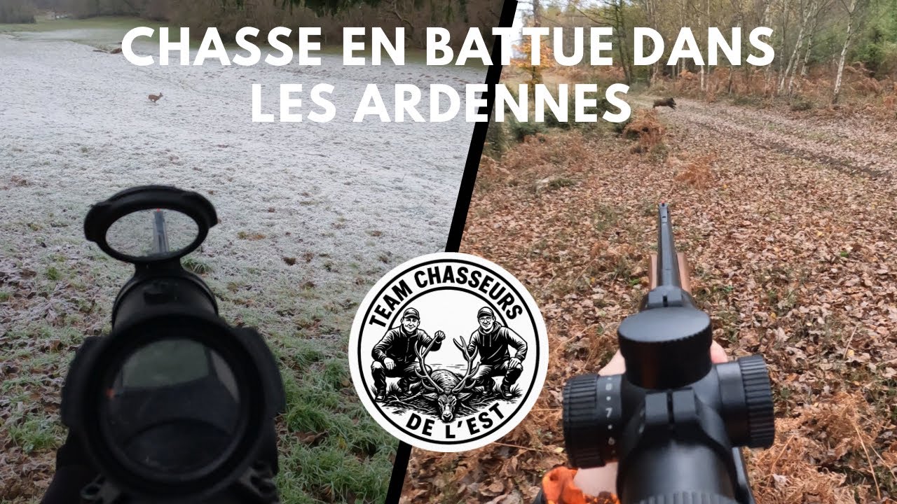Chasse en battue dans les Ardennes : Sangliers, Chevreuils et Cervidés 🦌 (Partie 1)