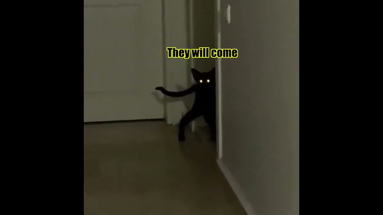 Demon Cat pt. 3