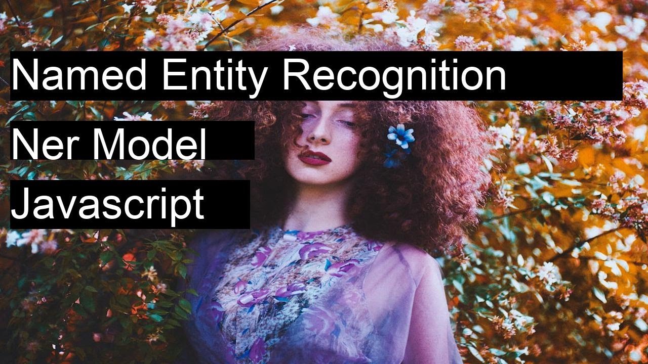 Build NER Model in JavaScript for Text Extraction