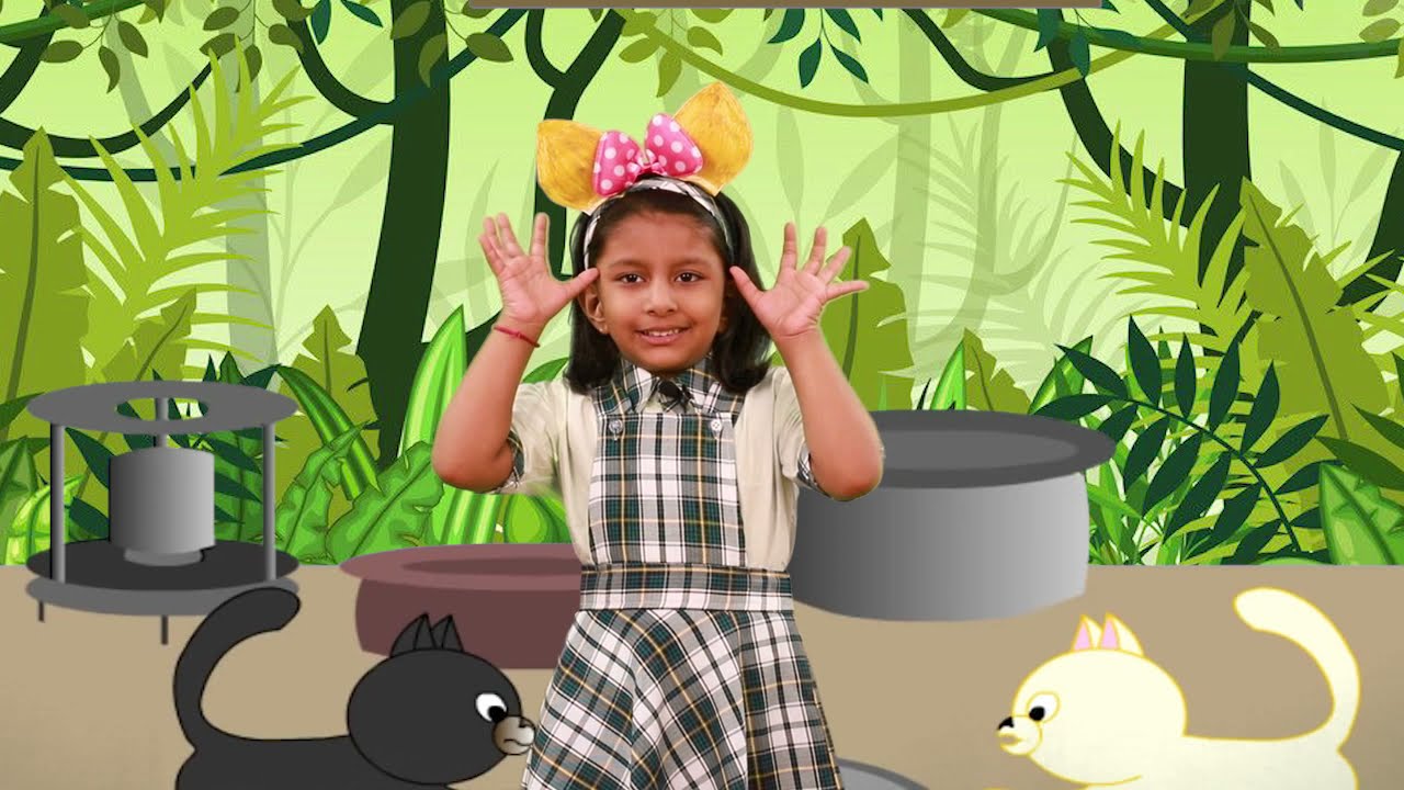 Tabby & Shabby: Cats and Monkey Tale 🐒