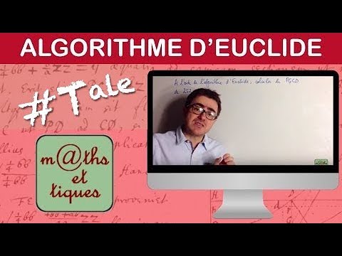 Appliquer l'algorithme d'Euclide (Version collège) - Tale Maths expertes