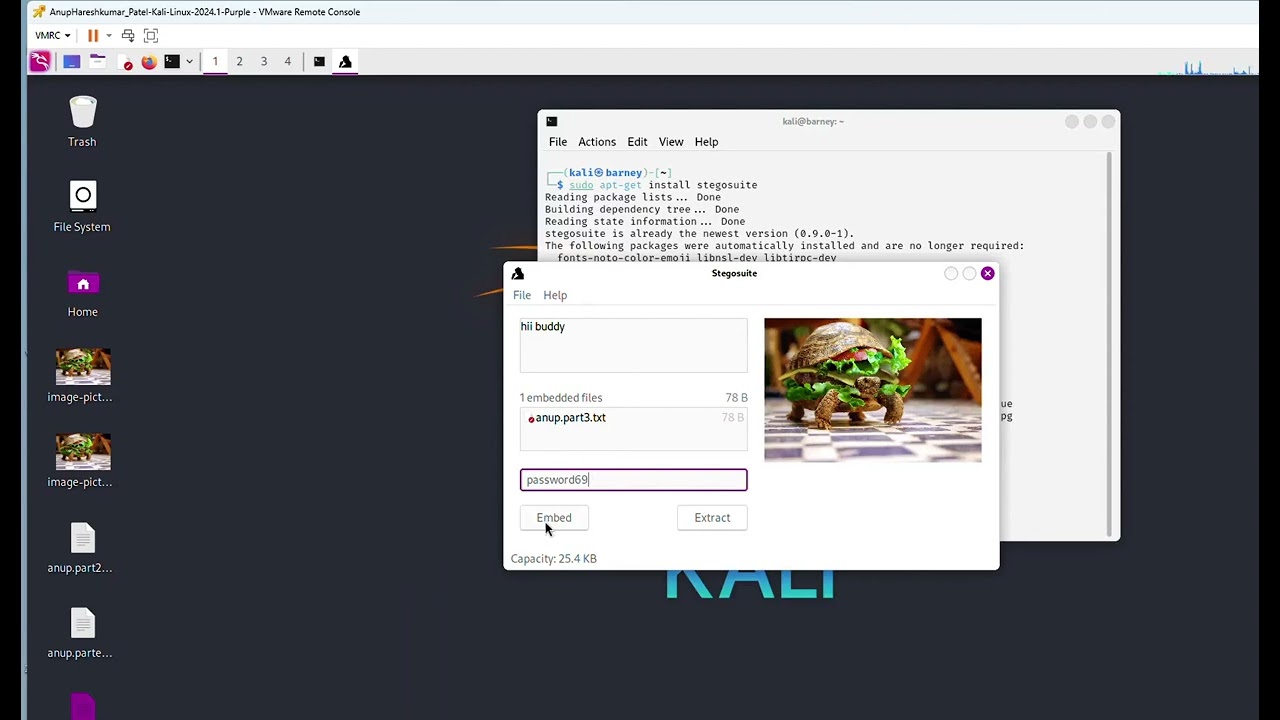 Using Steghide in Kali Linux π΅οΈββοΈ