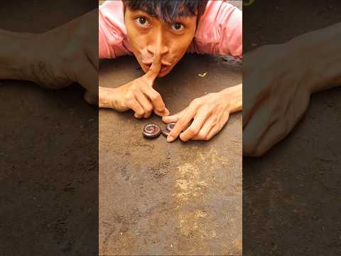 The camera stood ready, recording the moment the millipede rose from its circle of slumber