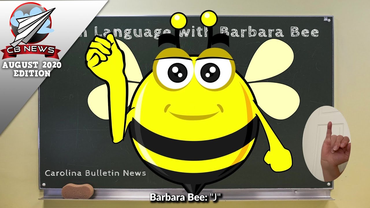 Summer Family Activities in the Grand Strand 🏖