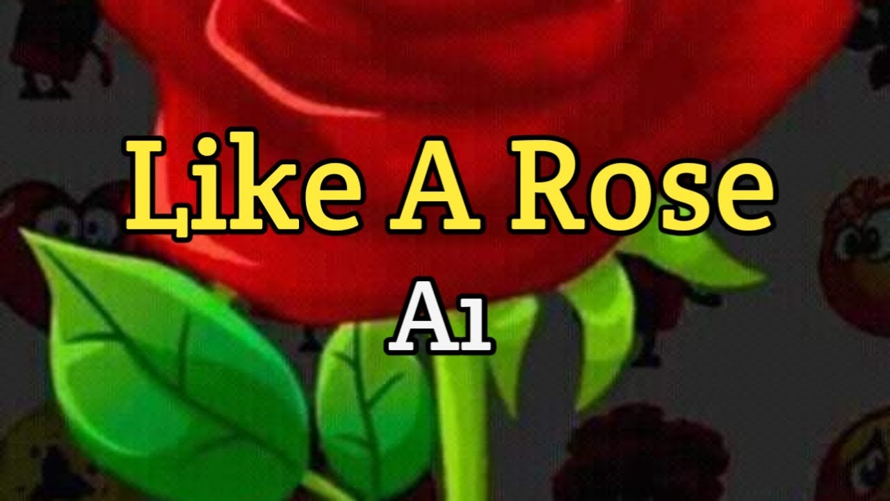 Like A Rose - A1 Lyrics Video 🌹