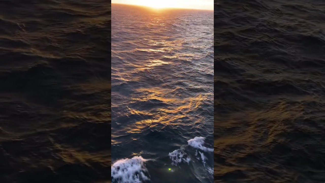 Magie à bord du NGCC Henry Larsen 🚢